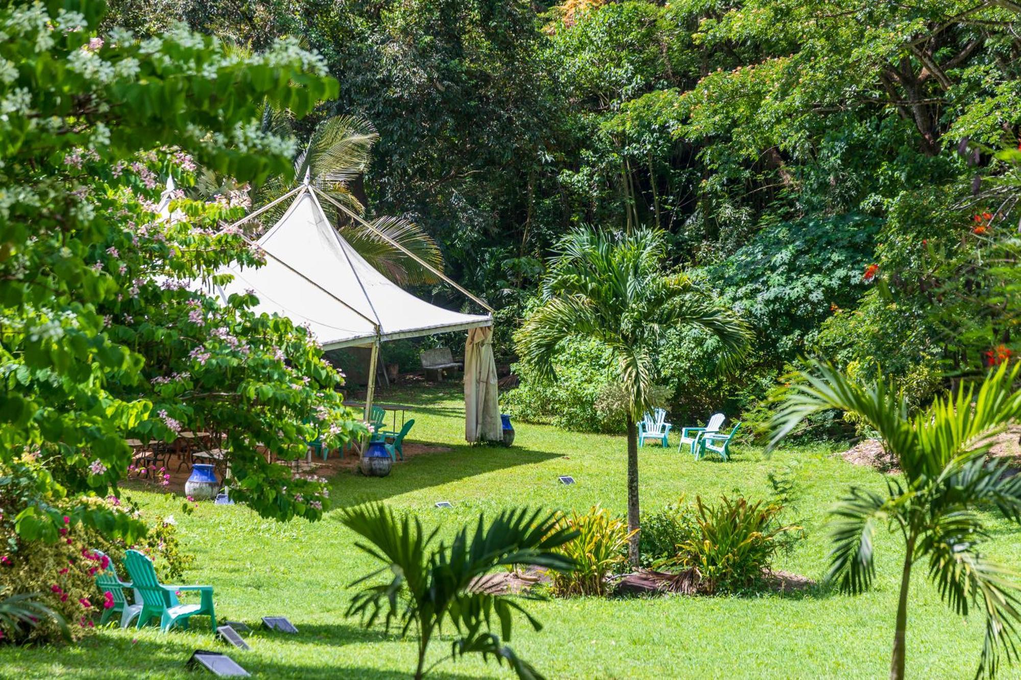 Martinique Treehouse Villa Canton Suisse Exterior photo