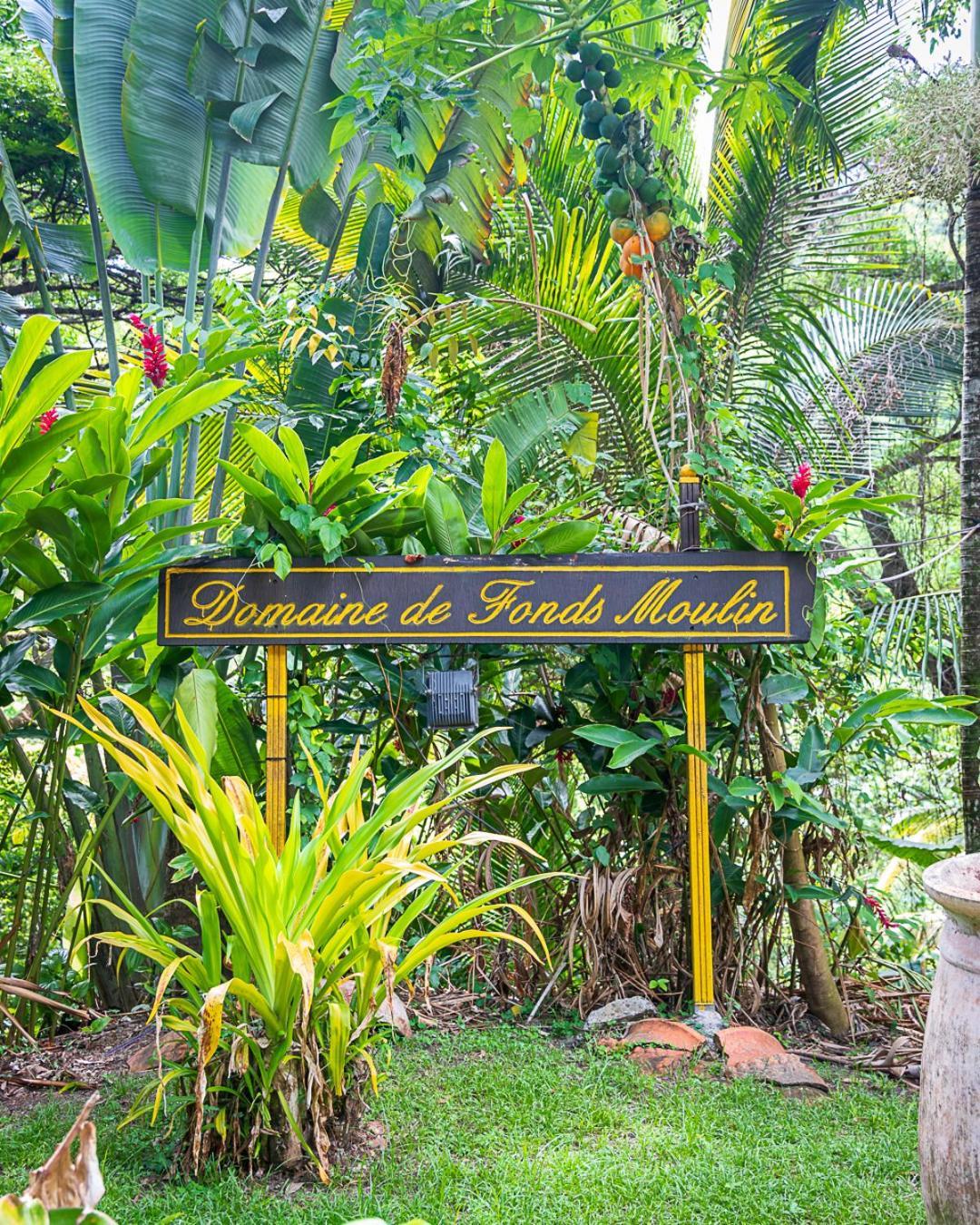 Martinique Treehouse Villa Canton Suisse Exterior photo