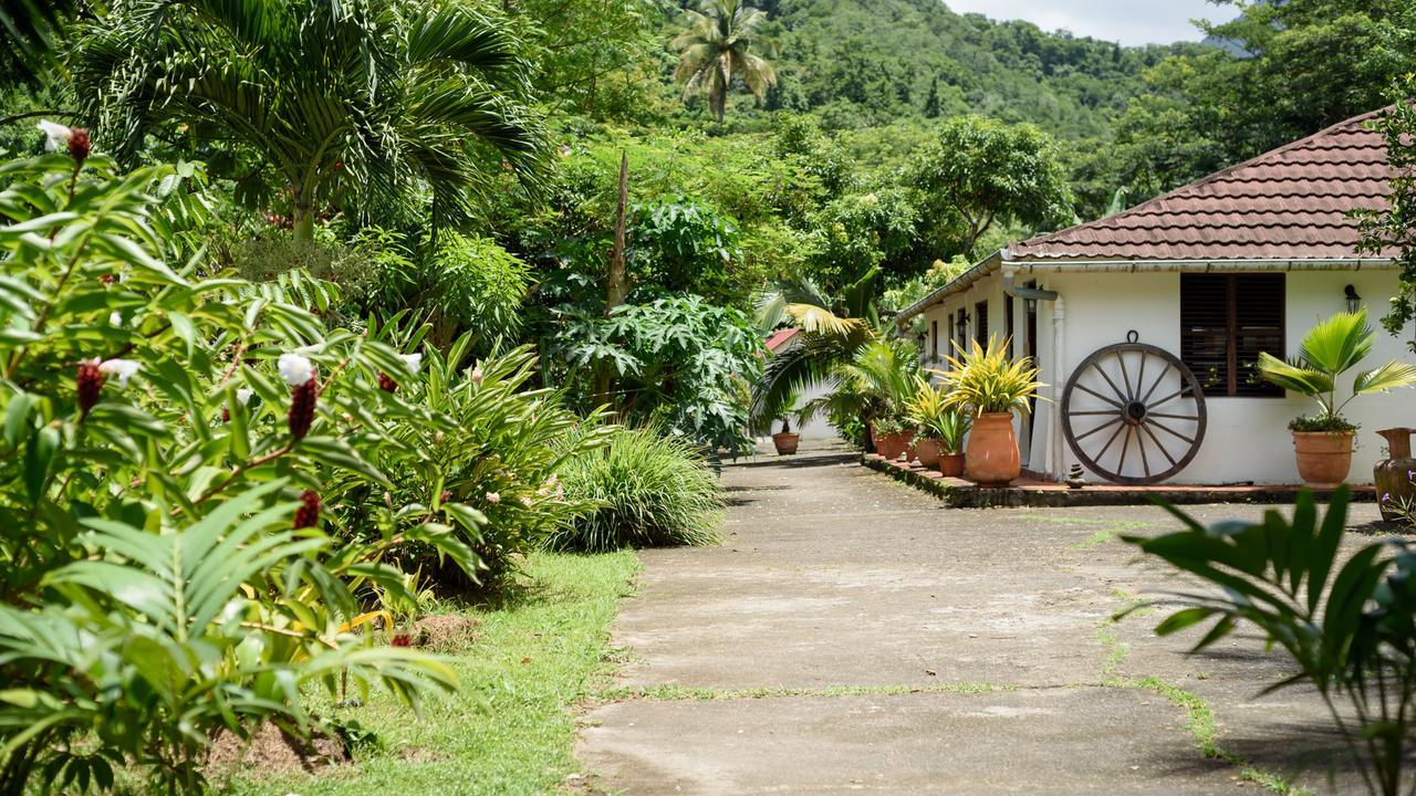 Martinique Treehouse Villa Canton Suisse Exterior photo